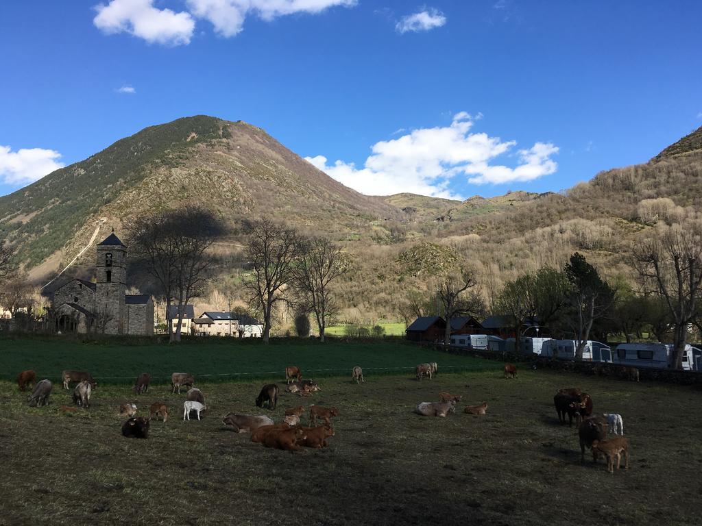 Camping Boneta